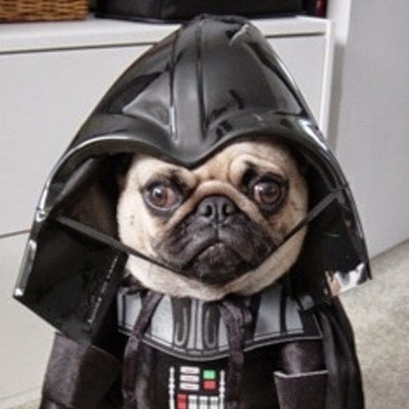 Meet your Posher, Martina - Picture 1 of 1